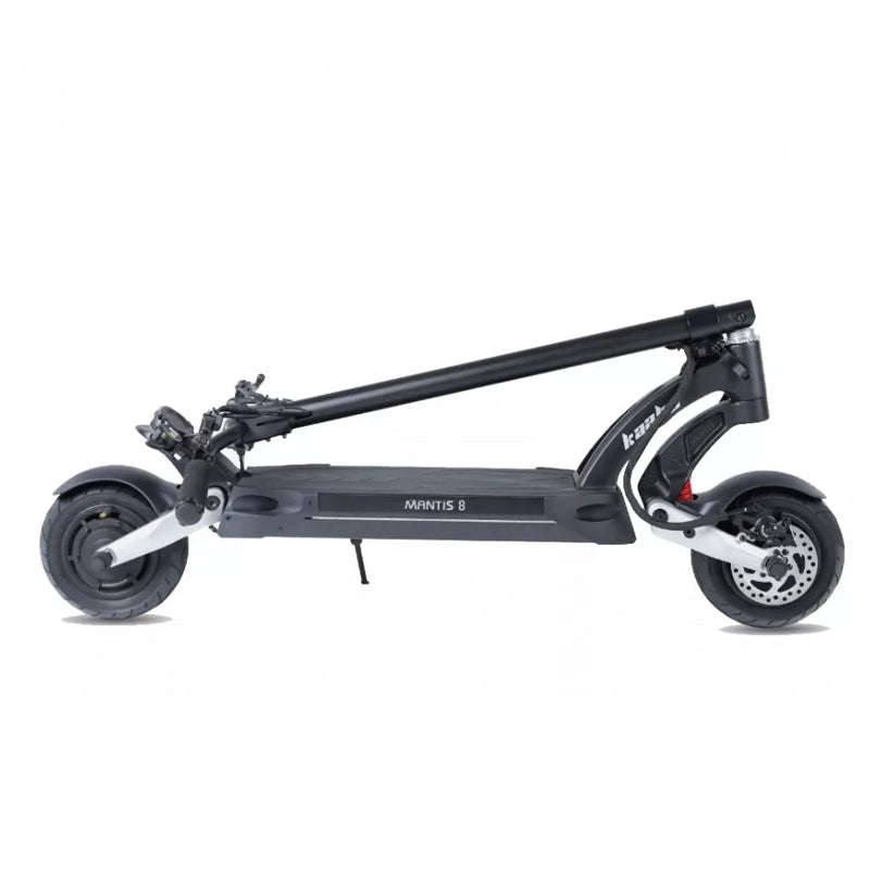 Mantis 8